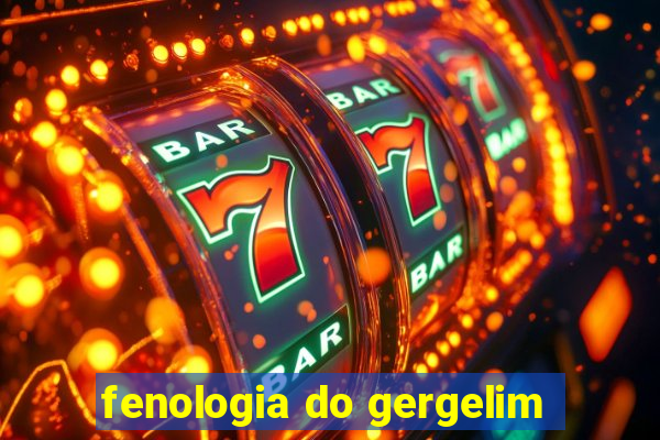 fenologia do gergelim